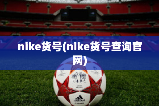 nike货号(nike货号查询官网)