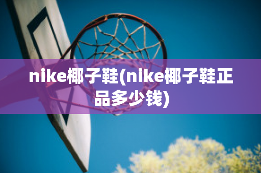 nike椰子鞋(nike椰子鞋正品多少钱)