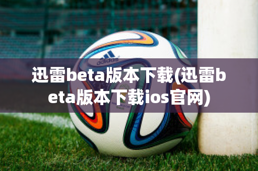 迅雷beta版本下载(迅雷beta版本下载ios官网)