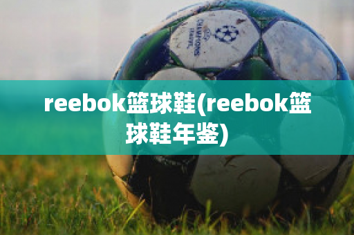 reebok篮球鞋(reebok篮球鞋年鉴)