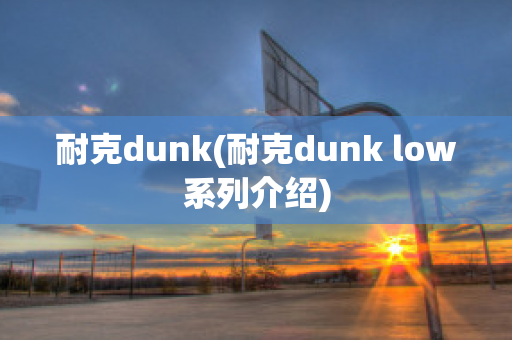 耐克dunk(耐克dunk low系列介绍)