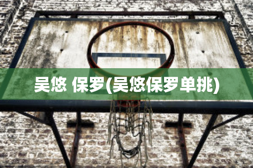 吴悠 保罗(吴悠保罗单挑)