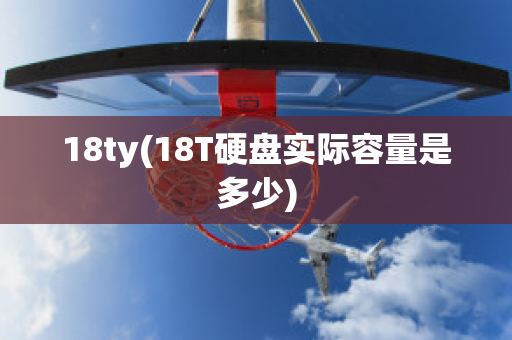 18ty(18T硬盘实际容量是多少)