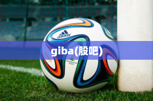 giba(股吧)