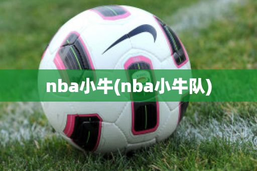 nba小牛(nba小牛队)