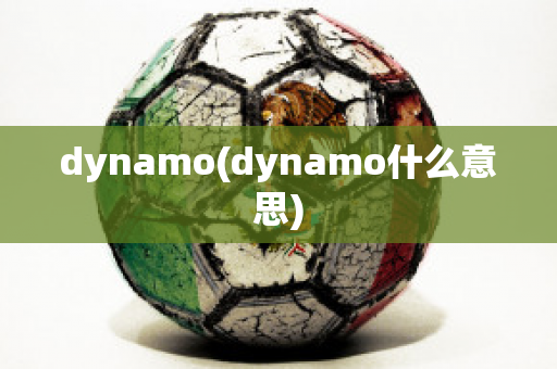 dynamo(dynamo什么意思)