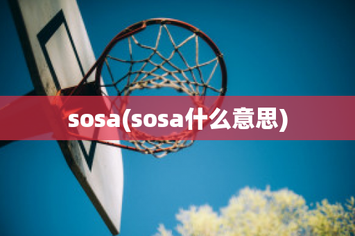 sosa(sosa什么意思)