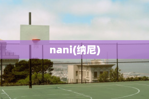 nani(纳尼)