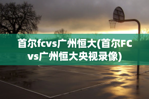 首尔fcvs广州恒大(首尔FCvs广州恒大央视录像)