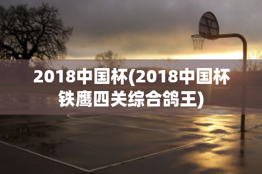 2018中国杯(2018中国杯铁鹰四关综合鸽王)