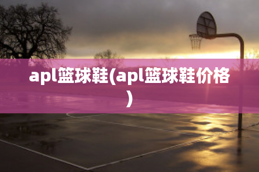 apl篮球鞋(apl篮球鞋价格)