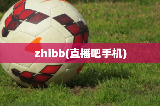 zhibb(直播吧手机)