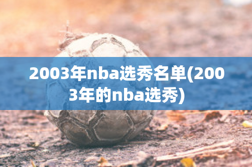 2003年nba选秀名单(2003年的nba选秀)