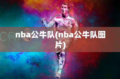 nba公牛队(nba公牛队图片)