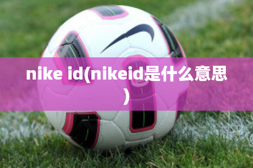 nike id(nikeid是什么意思)