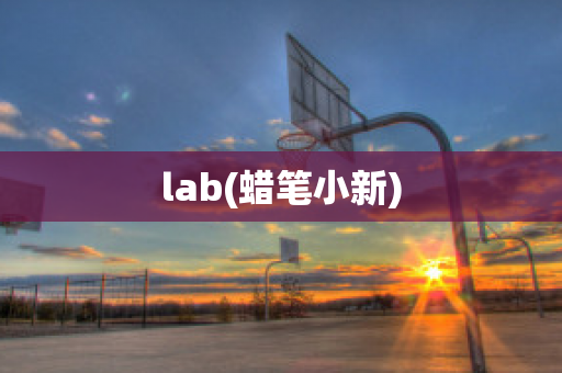 lab(蜡笔小新)