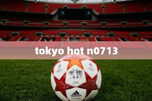 tokyo hot n0713