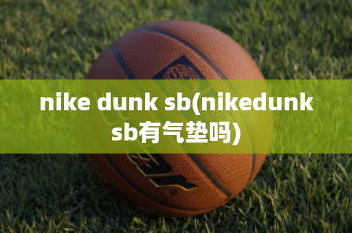 nike dunk sb(nikedunksb有气垫吗)