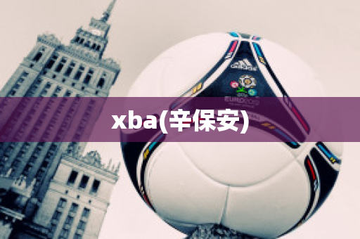 xba(辛保安)