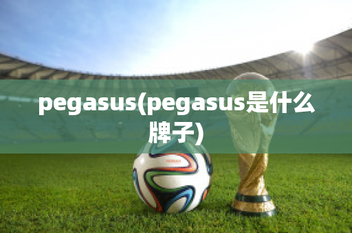 pegasus(pegasus是什么牌子)