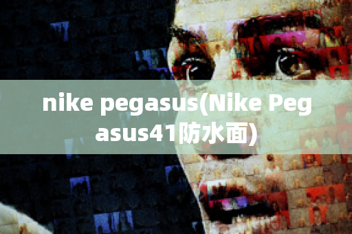 nike pegasus(Nike Pegasus41防水面)