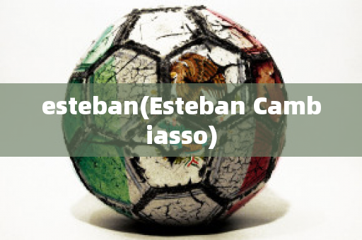 esteban(Esteban Cambiasso)