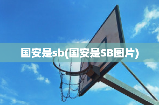 国安是sb(国安是SB图片)