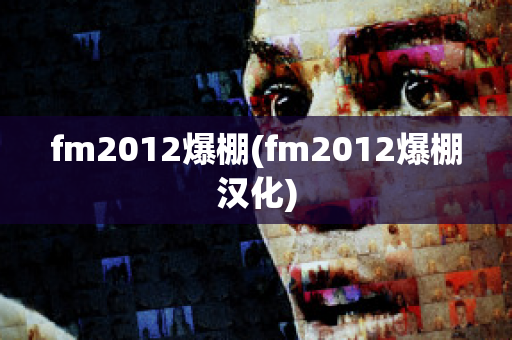 fm2012爆棚(fm2012爆棚汉化)