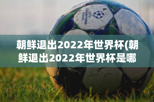 朝鲜退出2022年世界杯(朝鲜退出2022年世界杯是哪一年)