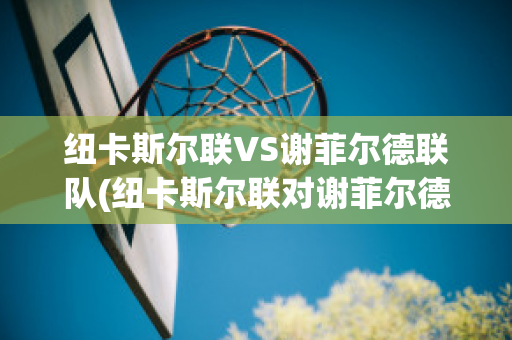 纽卡斯尔联VS谢菲尔德联队(纽卡斯尔联对谢菲尔德联)