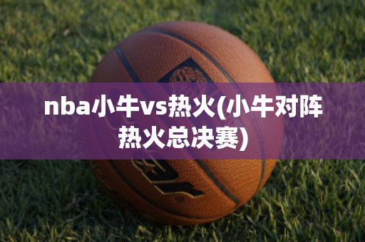 nba小牛vs热火(小牛对阵热火总决赛)