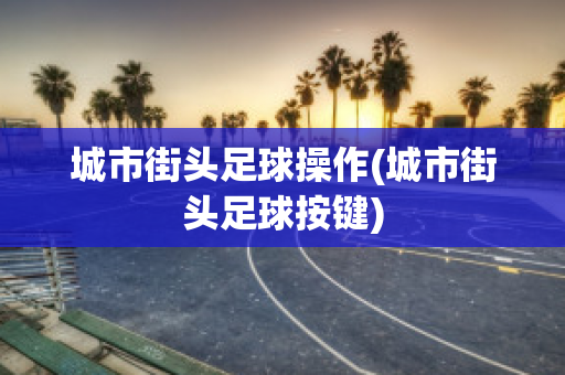 城市街头足球操作(城市街头足球按键)