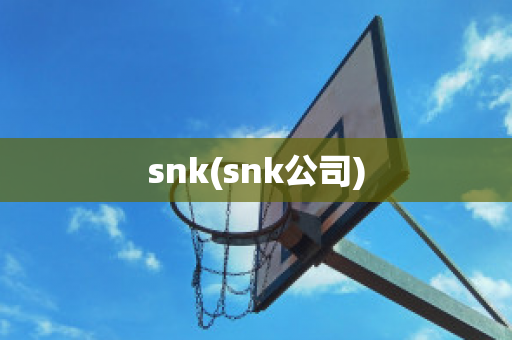 snk(snk公司)