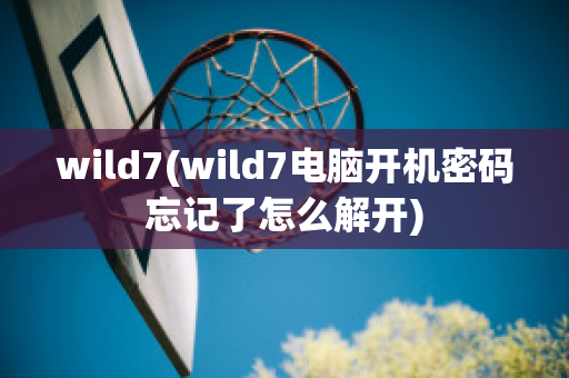 wild7(wild7电脑开机密码忘记了怎么解开)