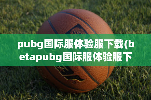 pubg国际服体验服下载(betapubg国际服体验服下载)