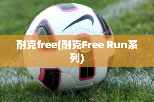 耐克free(耐克Free Run系列)