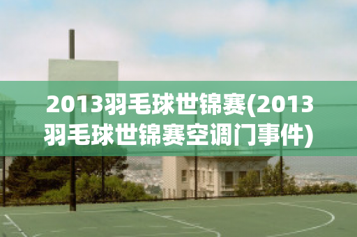 2013羽毛球世锦赛(2013羽毛球世锦赛空调门事件)