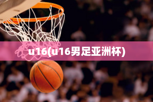 u16(u16男足亚洲杯)