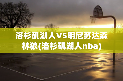 洛杉矶湖人VS明尼苏达森林狼(洛杉矶湖人nba)