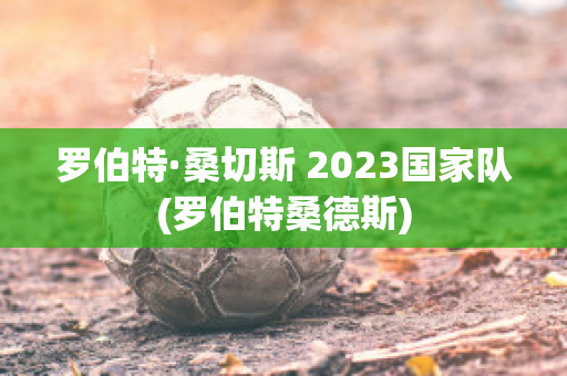 罗伯特·桑切斯 2023国家队(罗伯特桑德斯)