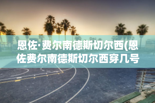 恩佐·费尔南德斯切尔西(恩佐费尔南德斯切尔西穿几号)