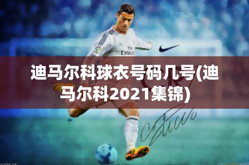 迪马尔科球衣号码几号(迪马尔科2021集锦)