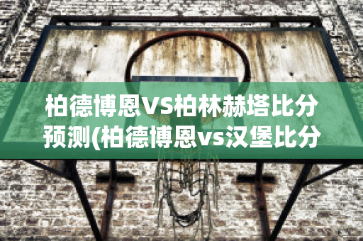 柏德博恩VS柏林赫塔比分预测(柏德博恩vs汉堡比分)