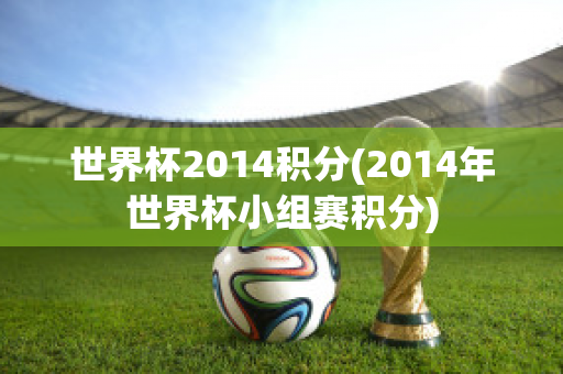 世界杯2014积分(2014年世界杯小组赛积分)