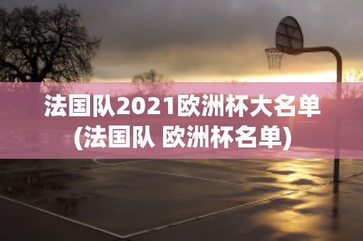 法国队2021欧洲杯大名单(法国队 欧洲杯名单)