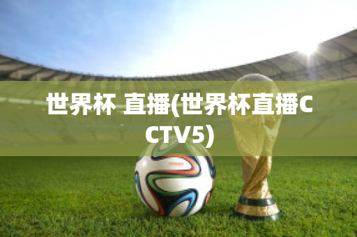 世界杯 直播(世界杯直播CCTV5)