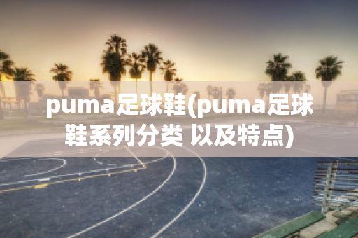 puma足球鞋(puma足球鞋系列分类 以及特点)