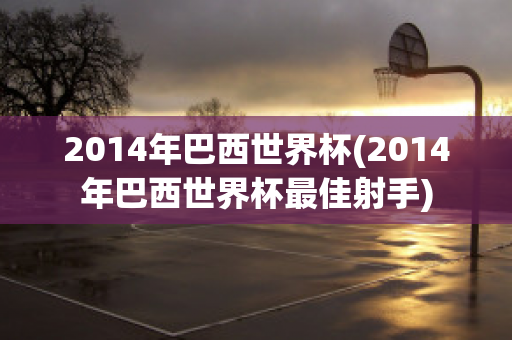 2014年巴西世界杯(2014年巴西世界杯最佳射手)