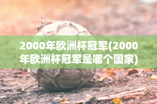 2000年欧洲杯冠军(2000年欧洲杯冠军是哪个国家)