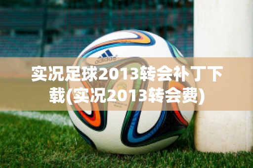 实况足球2013转会补丁下载(实况2013转会费)